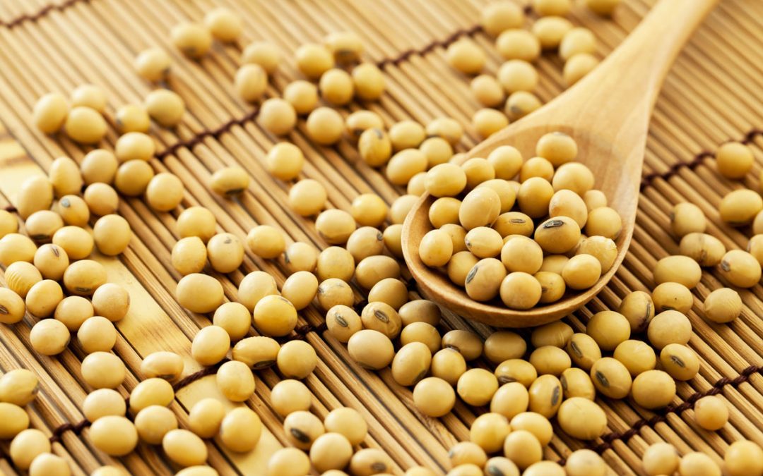 Image result for soya