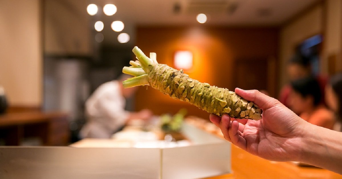 rasa wasabi