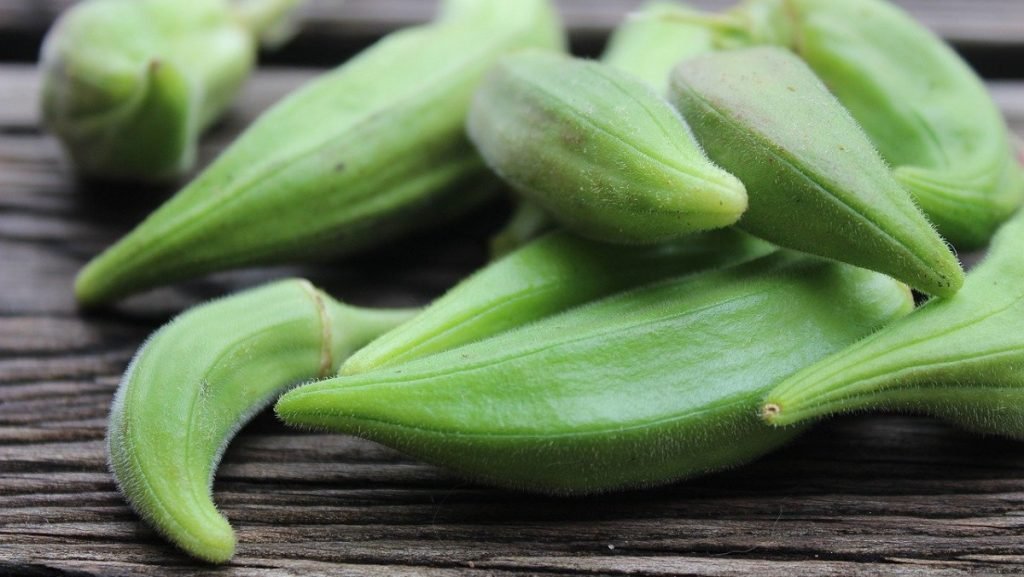 kacang bendi in english