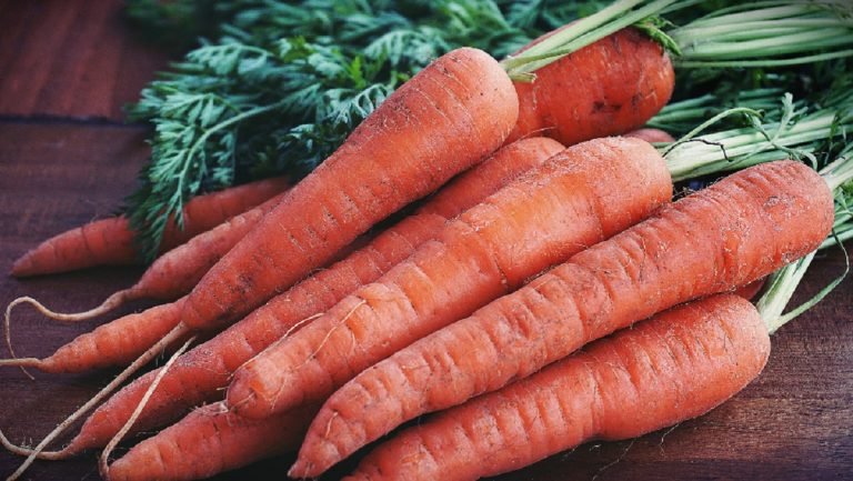10 Makanan Tinggi Vitamin A yang Anda Perlu Tahu - Root of Science