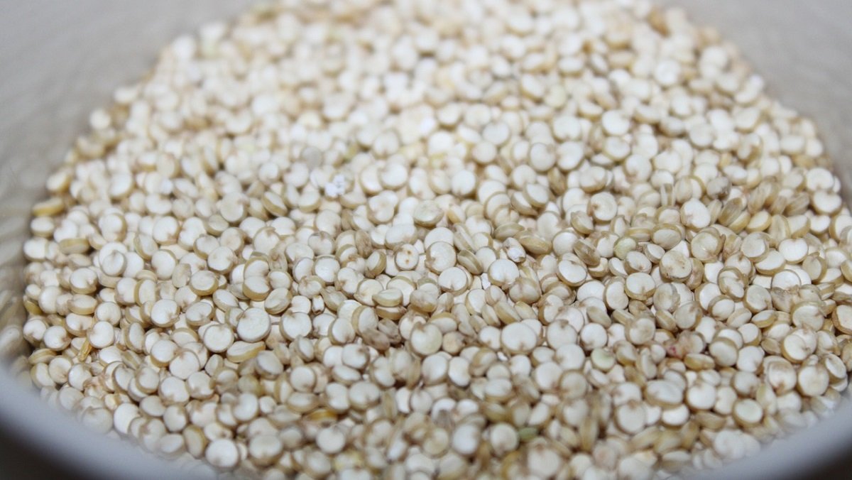 khasiat quinoa