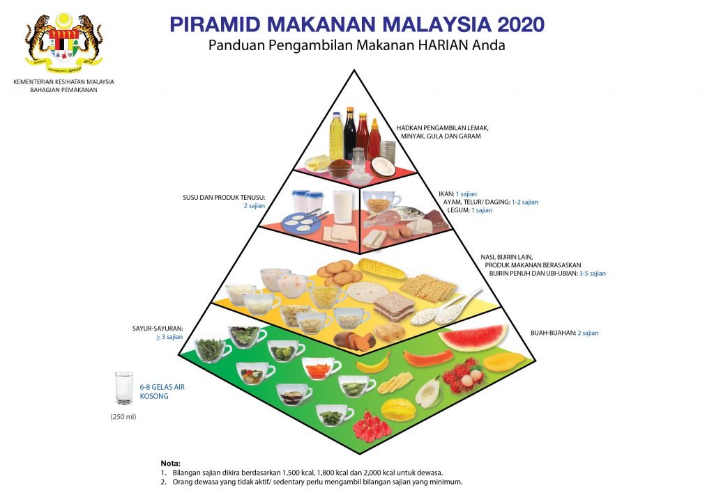 Piramid Makanan Malaysia Versi Yang Baru Root Of Science